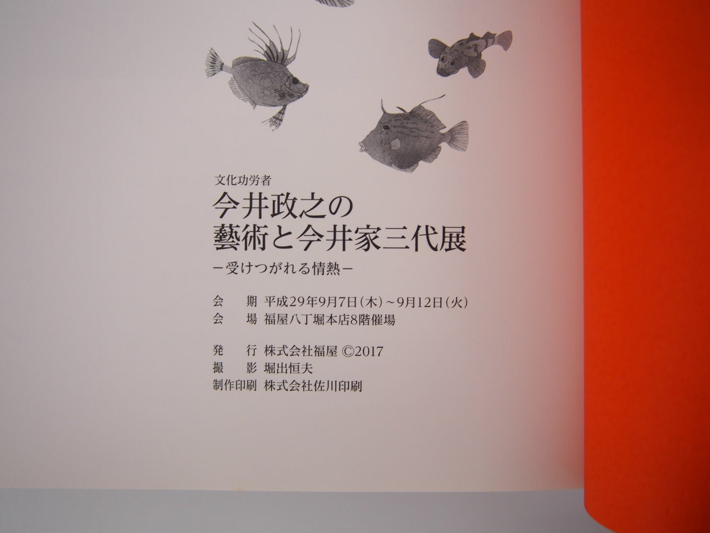 Image #6