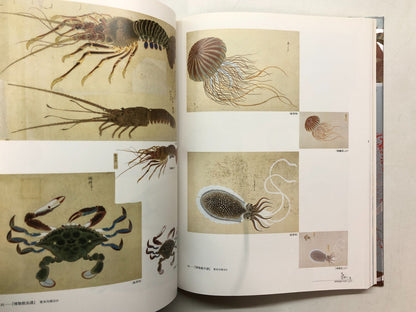 Image #7