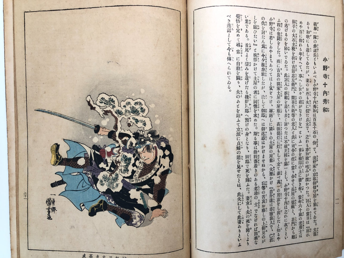 Image #14