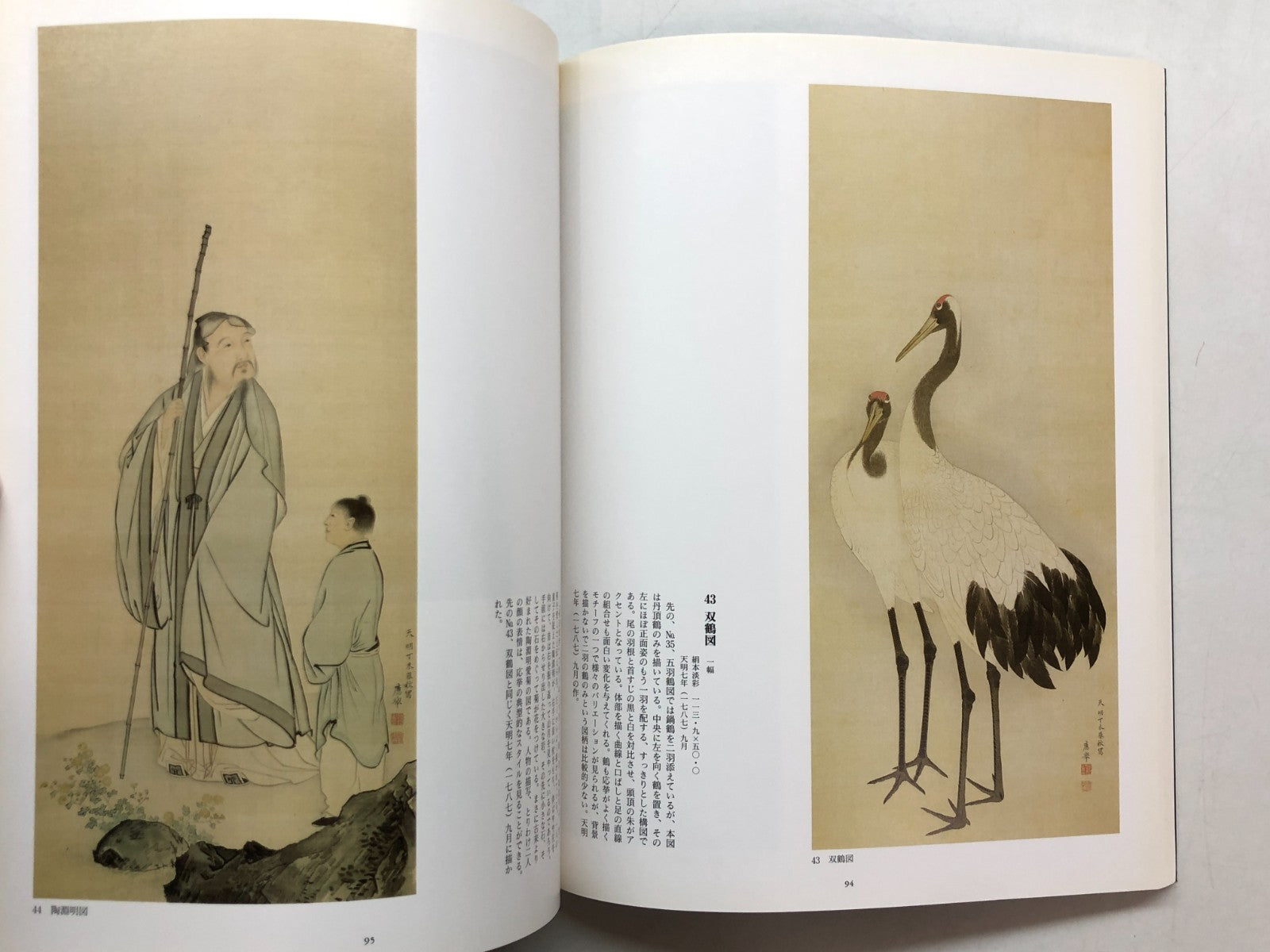 Image #8
