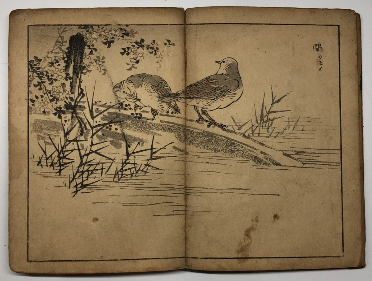 Image #12