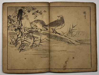 Image #12
