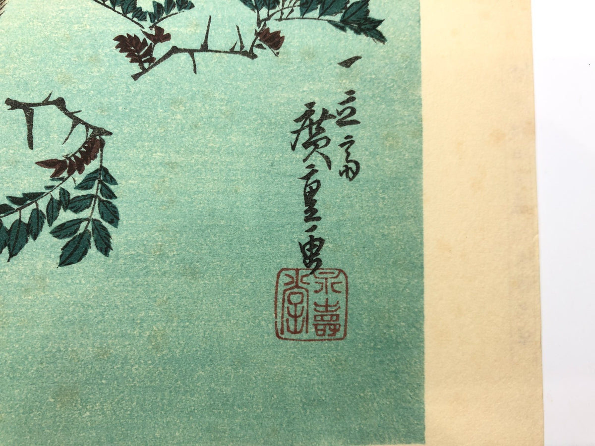 Image #7