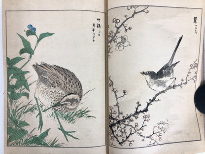 Numata Nishu Woodblock Print Book: Selected Bird-and-Flower Paintings