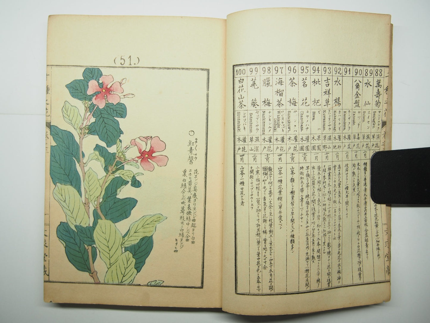 Bairei Woodblock Print Book: "Thousand Flowers" #2, First edition, Unsodo 1891