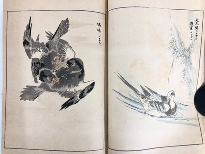 Numata Nishu Woodblock Print Book: Selected Bird-and-Flower Paintings