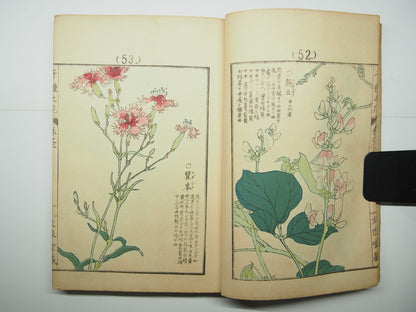 Bairei Woodblock Print Book: "Thousand Flowers" #2, First edition, Unsodo 1891