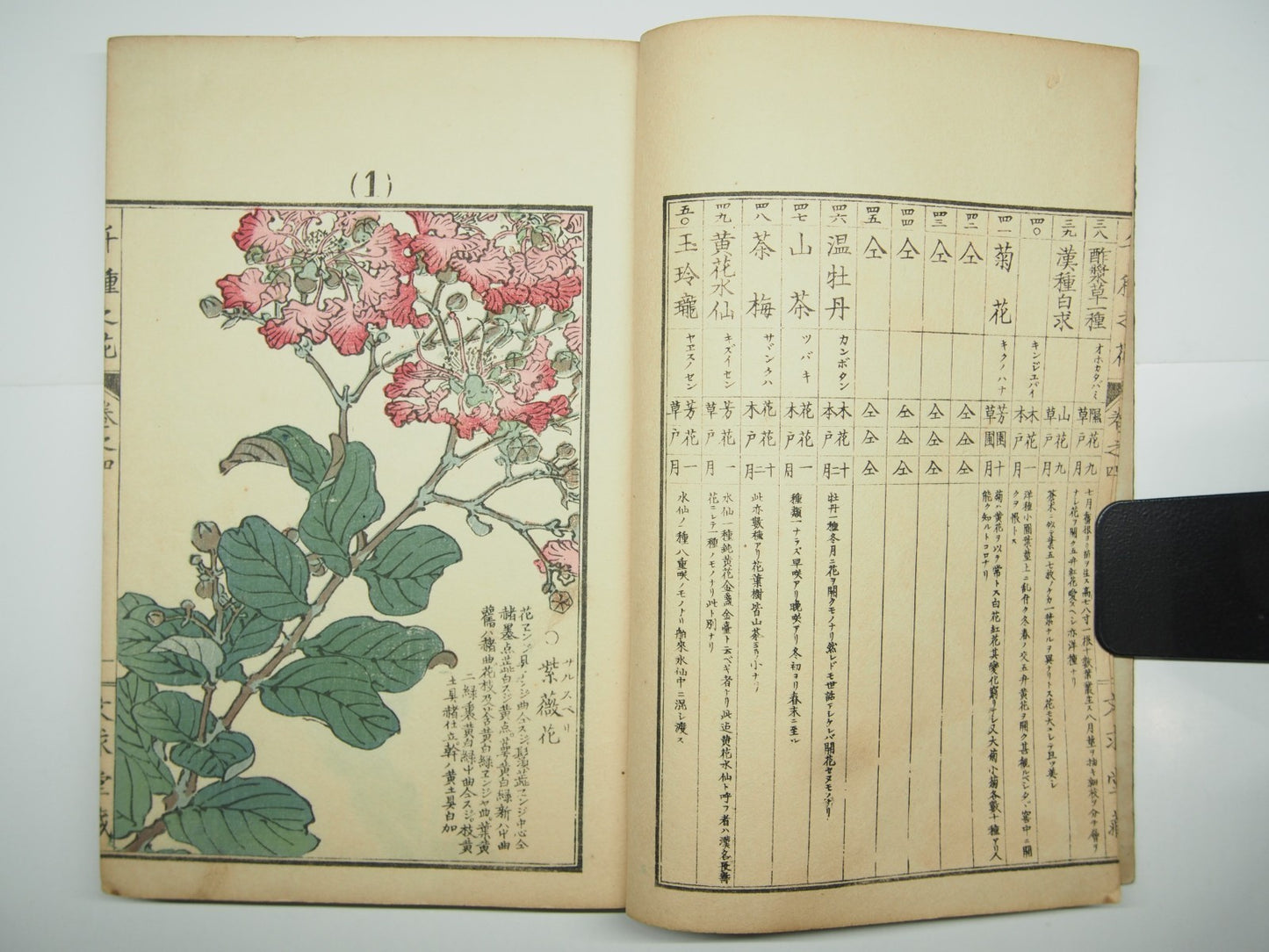 Bairei Woodblock Print Book: "Thousand Flowers" #4, First edition, Unsodo 1891