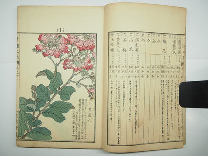 Bairei Woodblock Print Book: "Thousand Flowers" #4, First edition, Unsodo 1891
