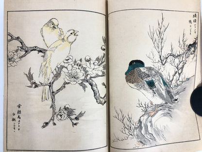 Numata Nishu Woodblock Print Book: Selected Bird-and-Flower Paintings