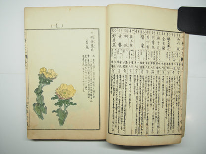 Bairei Woodblock Print Book: "Thousand Flowers" #1, First edition, Unsodo 1891