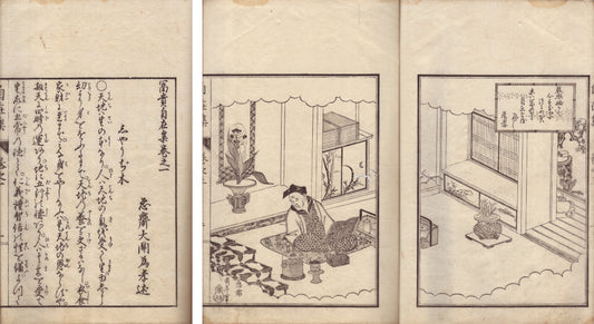 Collection of the Freedom to Attain Wealth 1838 x2 volume