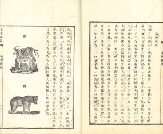 A Brief Account of the Earth 1871 Maps and illustrations x3 vol
