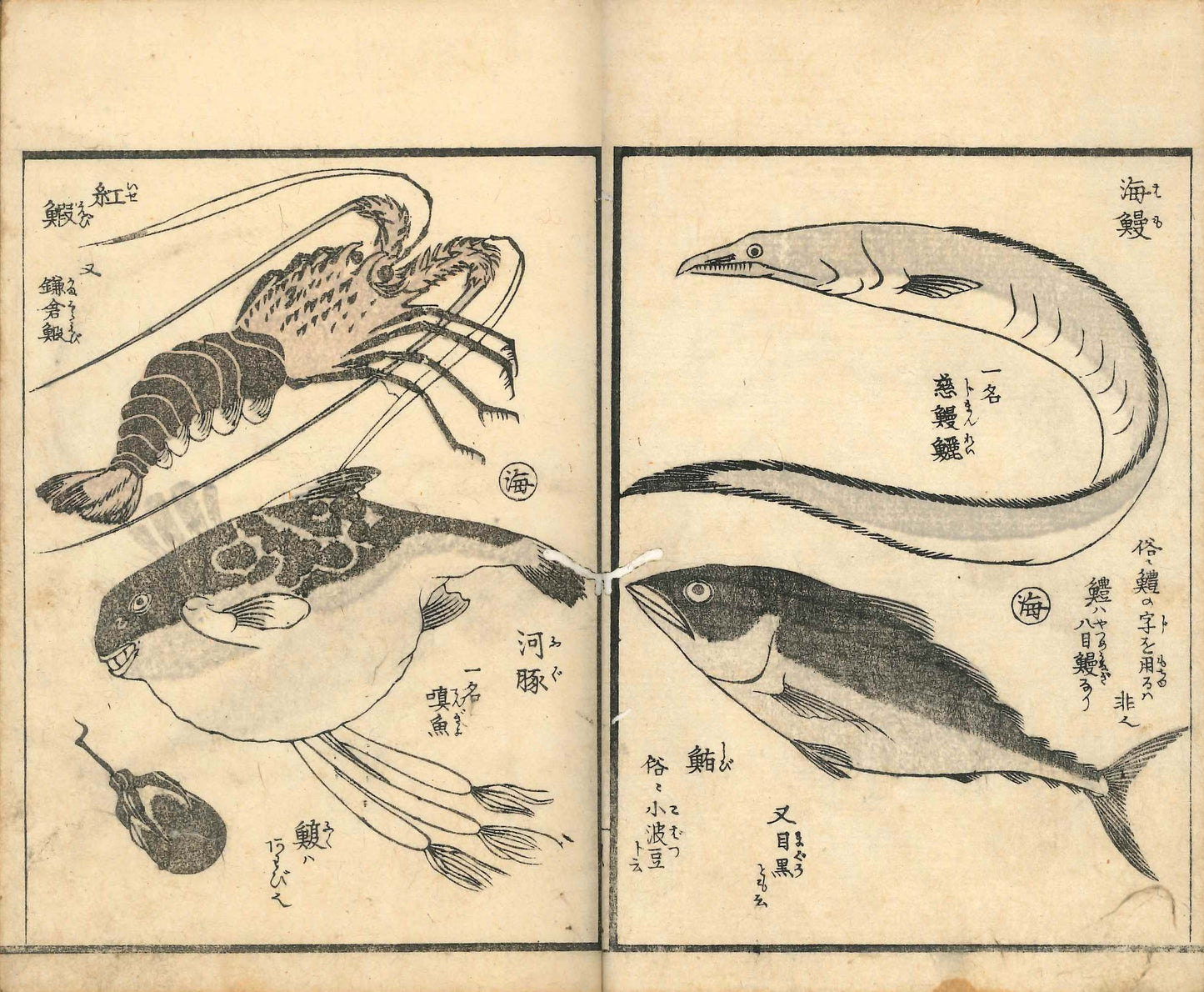 Ehon Hayamanabi, Part Three Urakawa Kosa 1848