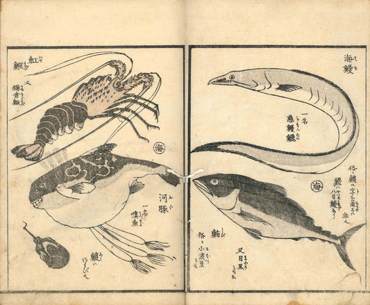 Ehon Hayamanabi, Part Three Urakawa Kosa 1848
