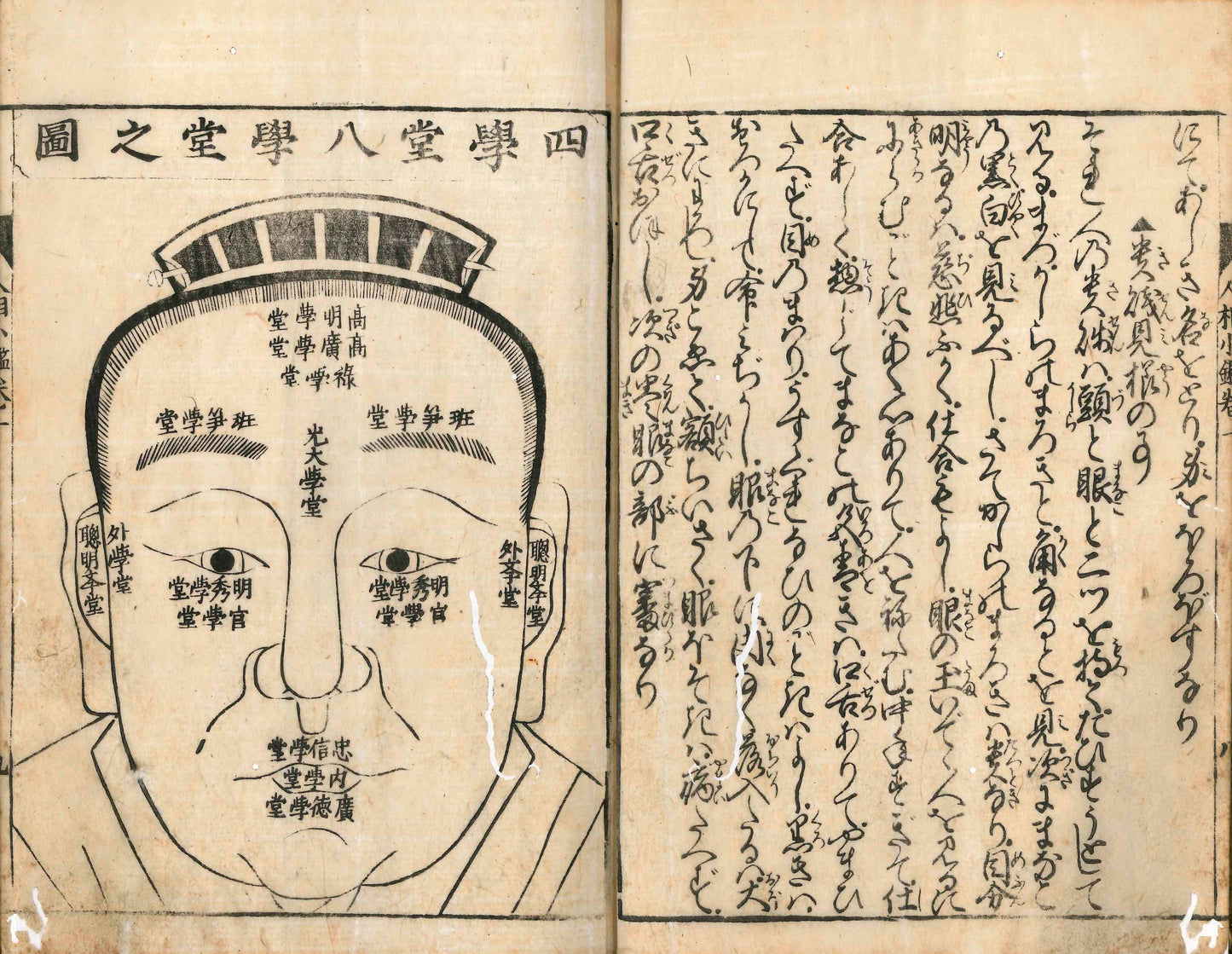 Complete Pocket Guide to Physiognomy 1684 Illustrated