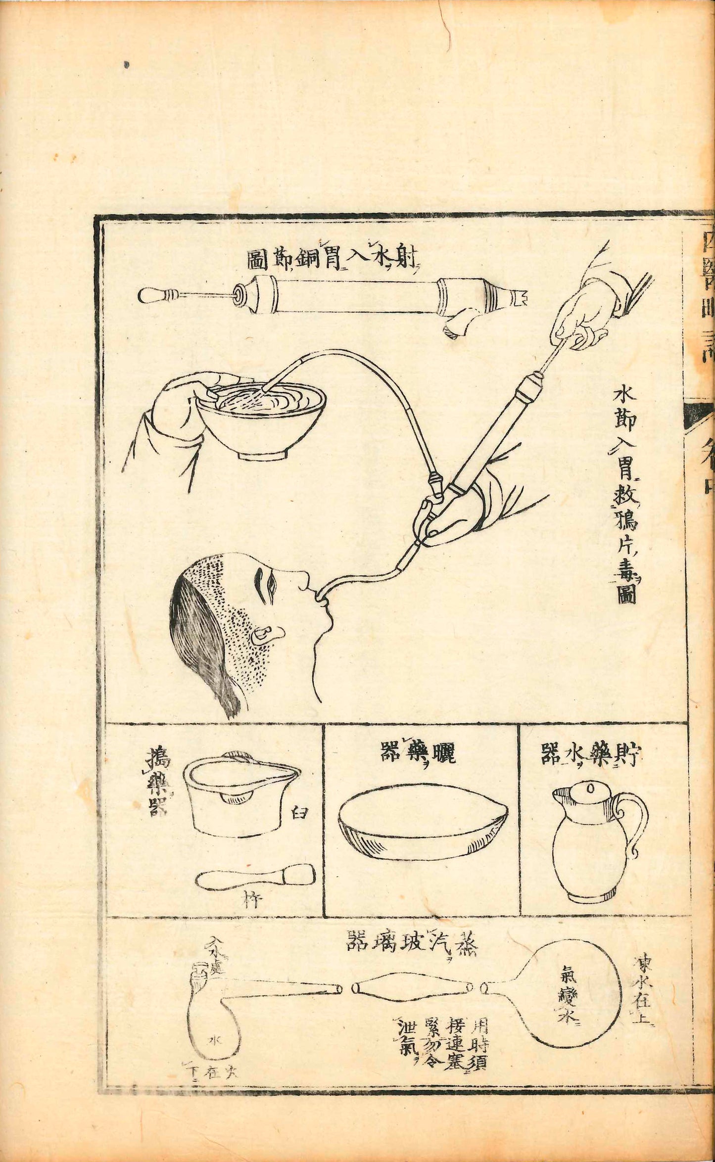 A Brief Treatise on Western Medicine With illustrations and diagrams