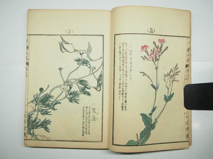 Bairei Woodblock Print Book: "Thousand Flowers" #4, First edition, Unsodo 1891