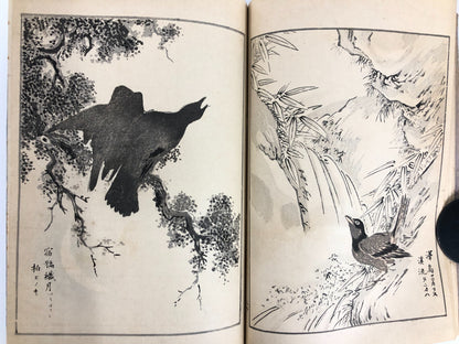 Numata Nishu Woodblock Print Book: Selected Bird-and-Flower Paintings