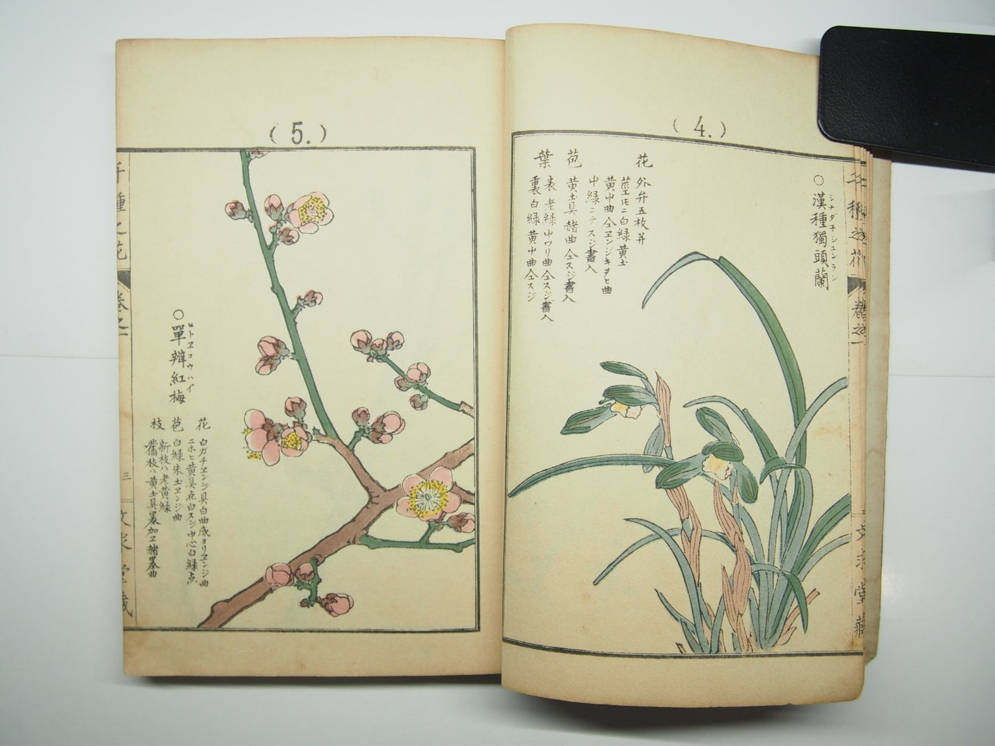 Bairei Woodblock Print Book: "Thousand Flowers" #1, First edition, Unsodo 1891