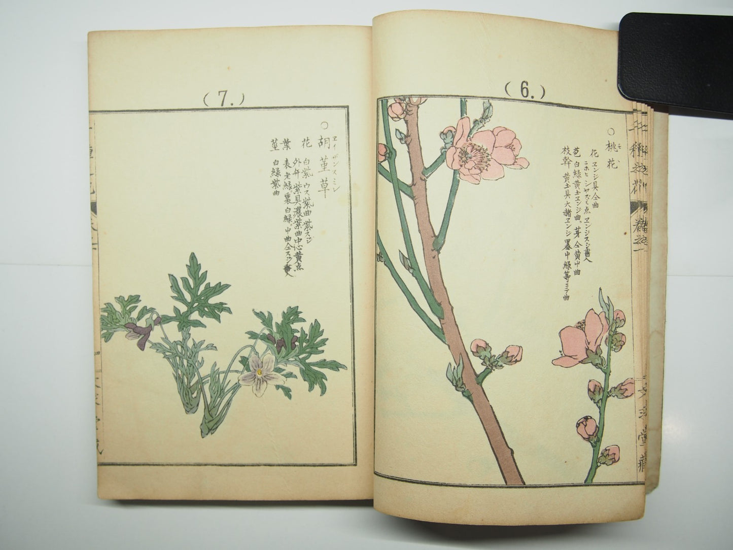 Bairei Woodblock Print Book: "Thousand Flowers" #1, First edition, Unsodo 1891