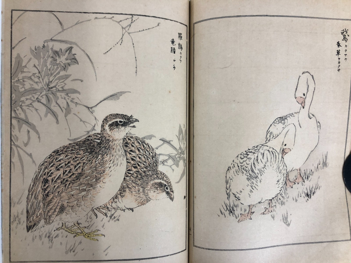 Numata Nishu Woodblock Print Book: Selected Bird-and-Flower Paintings