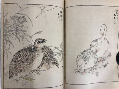 Numata Nishu Woodblock Print Book: Selected Bird-and-Flower Paintings