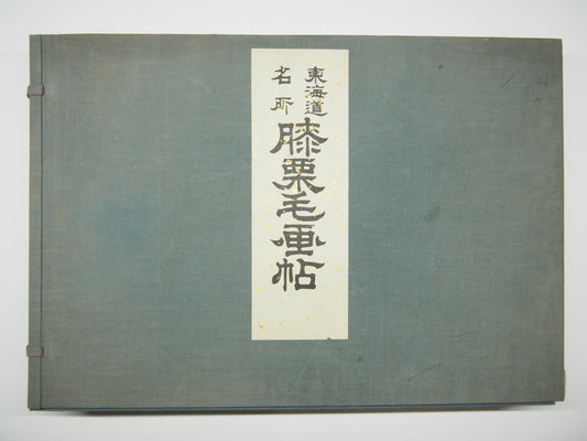 Fujikawa Tamenobu: Famous Places of Tokaido Road