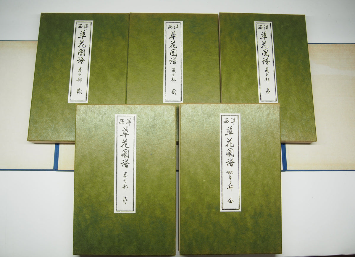 谷上広南 『西洋 草花図譜』 芸艸堂 昭和53年