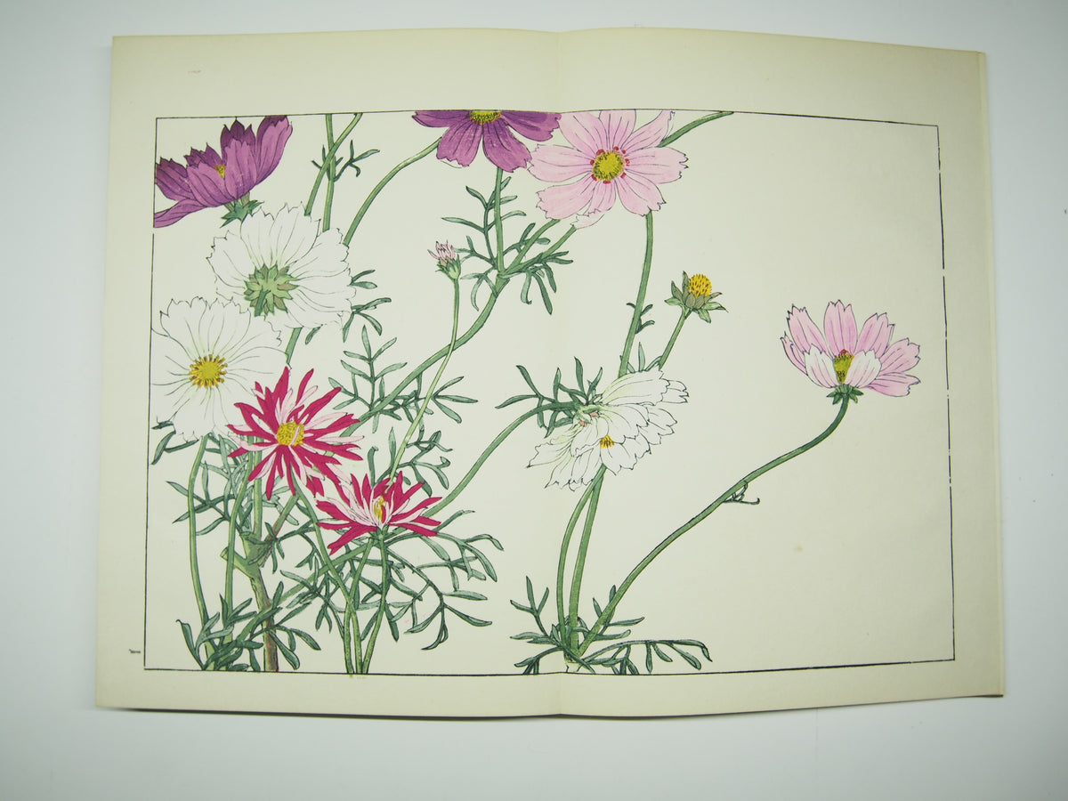 谷上広南 『西洋 草花図譜』 芸艸堂 昭和53年