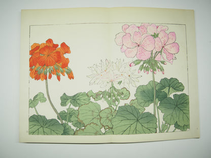 谷上広南 『西洋 草花図譜』 芸艸堂 昭和53年