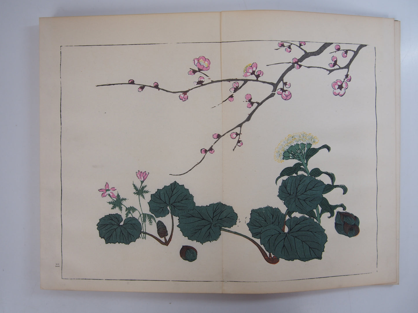 四季の花 全10巻 昭和42年 芸艸堂 Shiki no Hana (Flowers of the Four Seasons) (10 Volumes) 1967 Unsodo