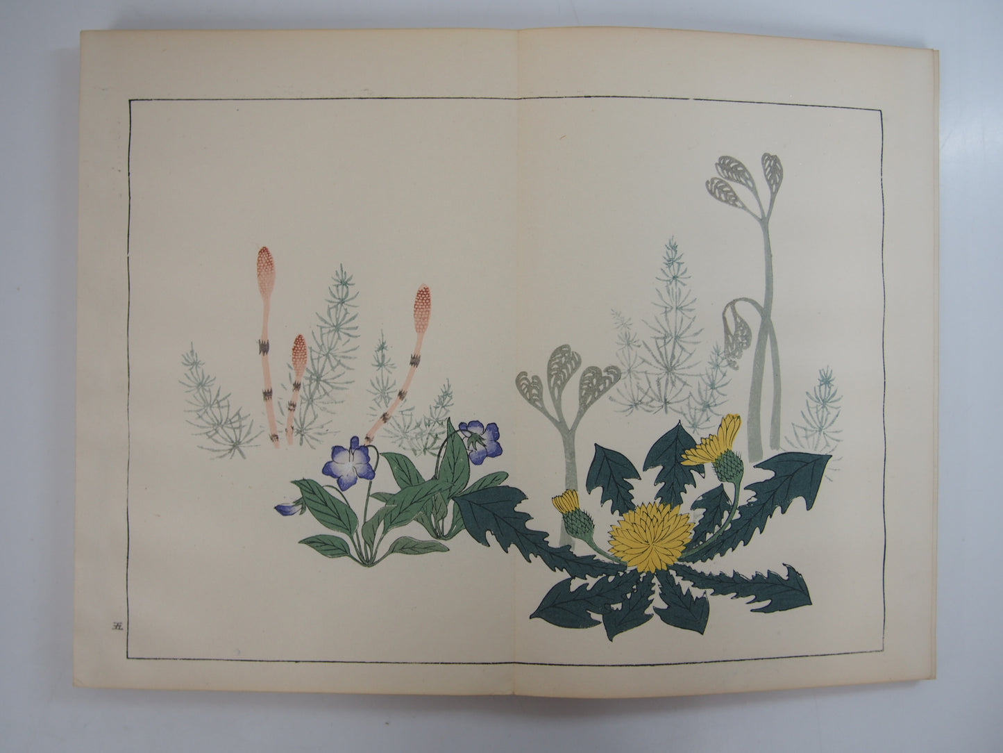 四季の花 全10巻 昭和42年 芸艸堂 Shiki no Hana (Flowers of the Four Seasons) (10 Volumes) 1967 Unsodo