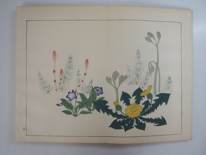 四季の花 全10巻 昭和42年 芸艸堂 Shiki no Hana (Flowers of the Four Seasons) (10 Volumes) 1967 Unsodo