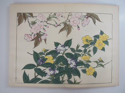 四季の花 全10巻 昭和42年 芸艸堂 Shiki no Hana (Flowers of the Four Seasons) (10 Volumes) 1967 Unsodo