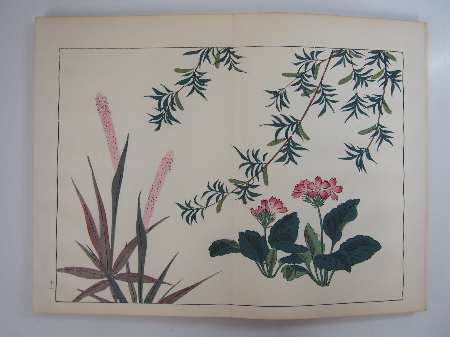 四季の花 全10巻 昭和42年 芸艸堂 Shiki no Hana (Flowers of the Four Seasons) (10 Volumes) 1967 Unsodo