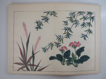 四季の花 全10巻 昭和42年 芸艸堂 Shiki no Hana (Flowers of the Four Seasons) (10 Volumes) 1967 Unsodo