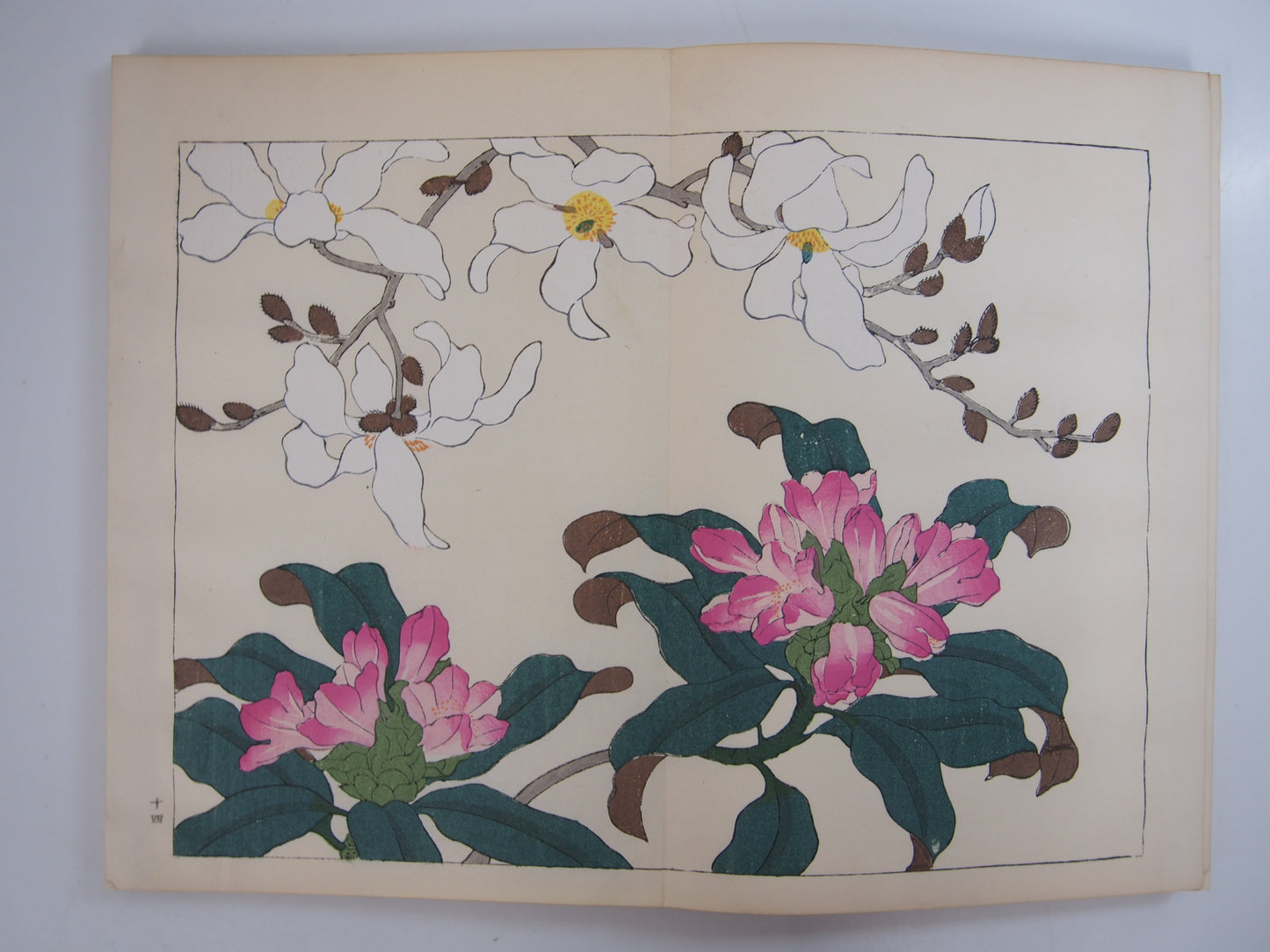 四季の花 全10巻 昭和42年 芸艸堂 Shiki no Hana (Flowers of the Four Seasons) (10 Volumes) 1967 Unsodo