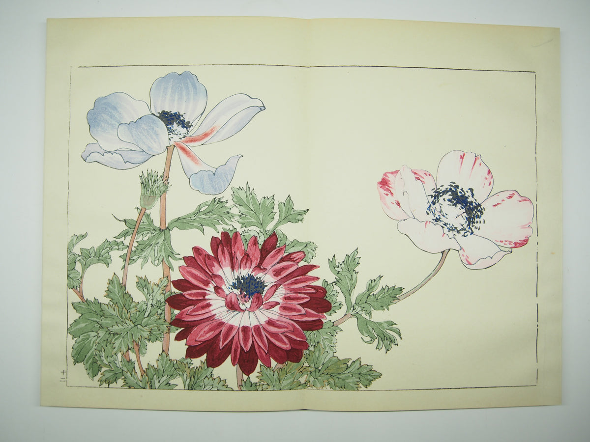 谷上広南 『西洋 草花図譜』 芸艸堂 昭和53年
