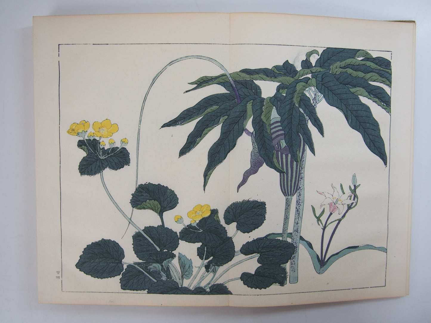 四季の花 全10巻 昭和42年 芸艸堂 Shiki no Hana (Flowers of the Four Seasons) (10 Volumes) 1967 Unsodo
