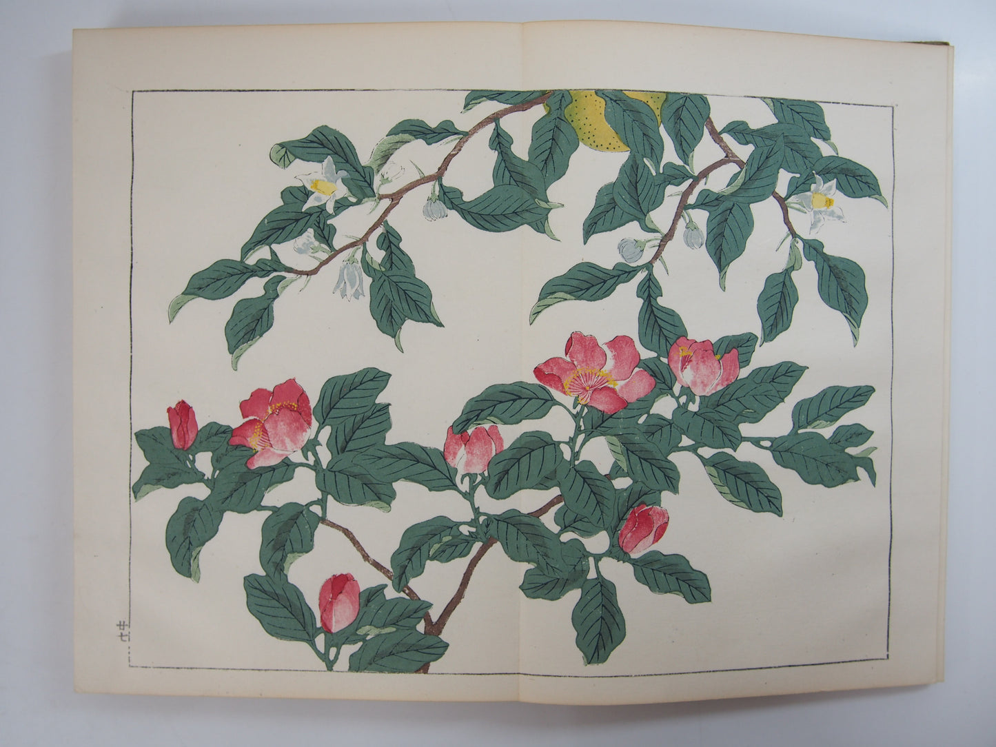 四季の花 全10巻 昭和42年 芸艸堂 Shiki no Hana (Flowers of the Four Seasons) (10 Volumes) 1967 Unsodo