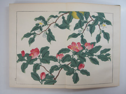 四季の花 全10巻 昭和42年 芸艸堂 Shiki no Hana (Flowers of the Four Seasons) (10 Volumes) 1967 Unsodo