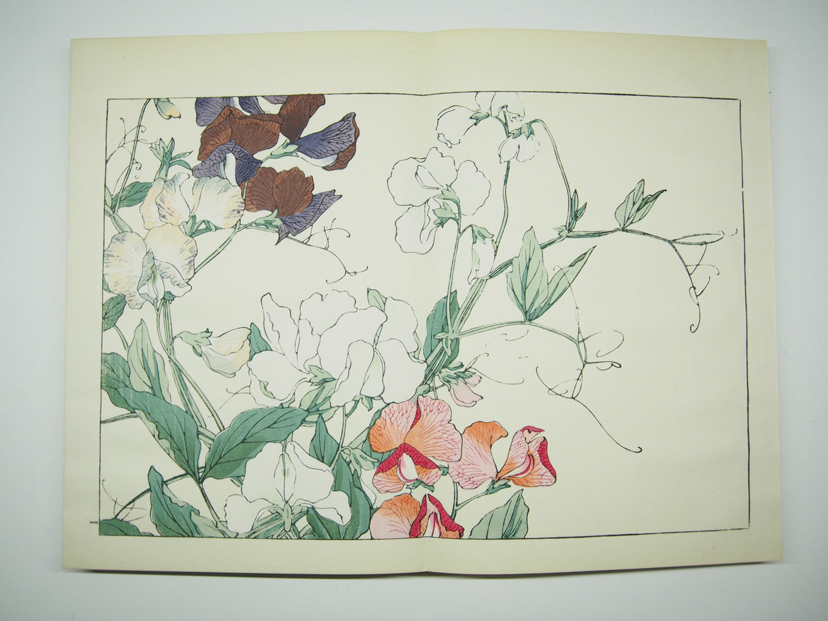 谷上広南 『西洋 草花図譜』 芸艸堂 昭和53年
