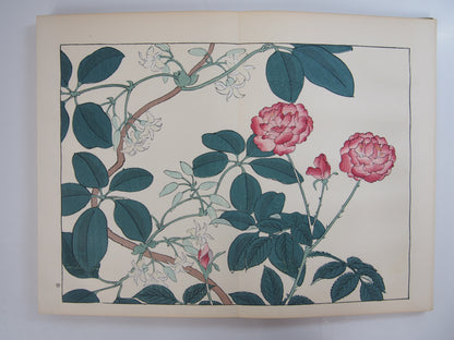 四季の花 全10巻 昭和42年 芸艸堂 Shiki no Hana (Flowers of the Four Seasons) (10 Volumes) 1967 Unsodo