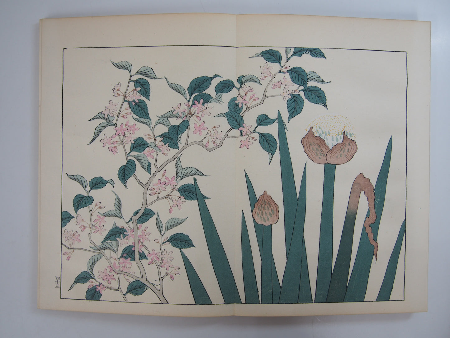四季の花 全10巻 昭和42年 芸艸堂 Shiki no Hana (Flowers of the Four Seasons) (10 Volumes) 1967 Unsodo