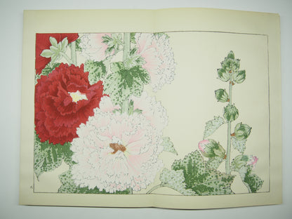 谷上広南 『西洋 草花図譜』 芸艸堂 昭和53年