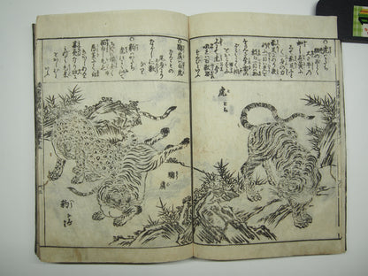 Woodblock Print Book x10 (Vol. 1-21): Kinmo Zui Illustrated Encyclopedia 1789