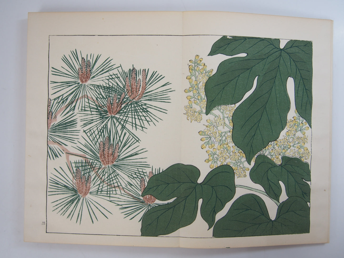 四季の花 全10巻 昭和42年 芸艸堂 Shiki no Hana (Flowers of the Four Seasons) (10 Volumes) 1967 Unsodo