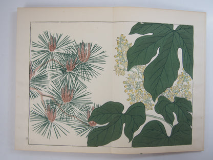四季の花 全10巻 昭和42年 芸艸堂 Shiki no Hana (Flowers of the Four Seasons) (10 Volumes) 1967 Unsodo