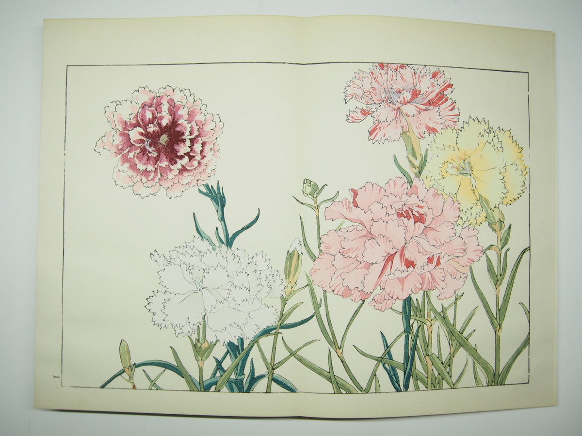 谷上広南 『西洋 草花図譜』 芸艸堂 昭和53年